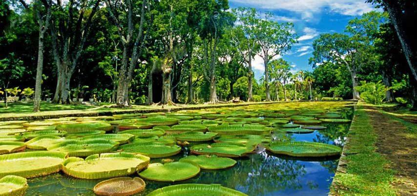 Lotus Villa, Residences Le Chaumet, Pereybere Bain Boeuf Екстериор снимка